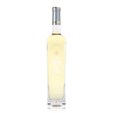 Terres de Berne Blanc 2022 AOP Côtes de Provence